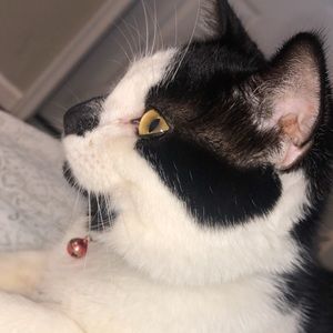 Meet your Posher, Brandon